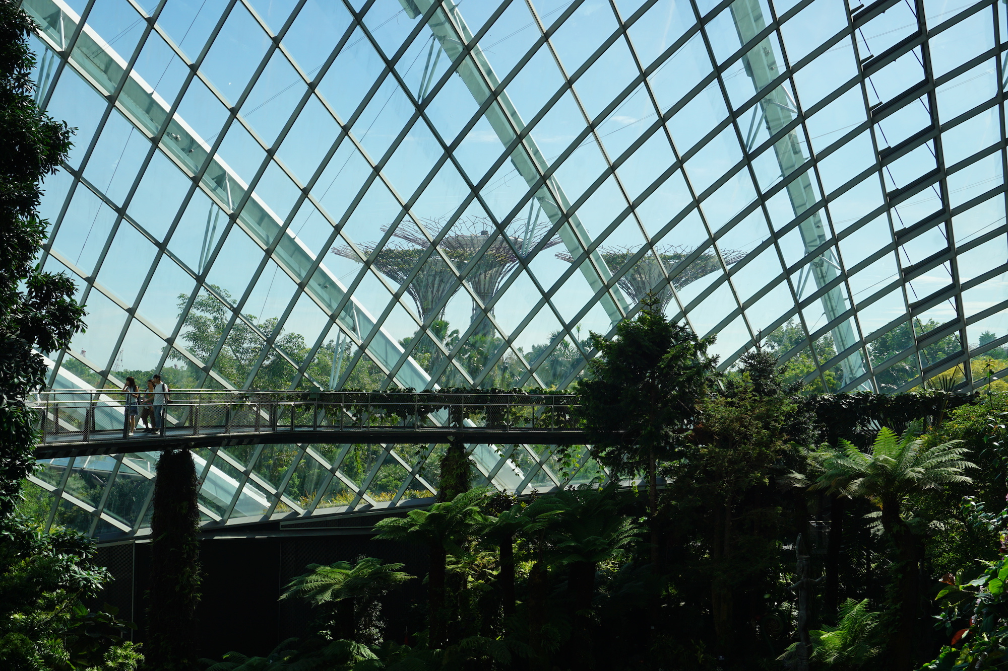 Flower Dome Garden by the bay