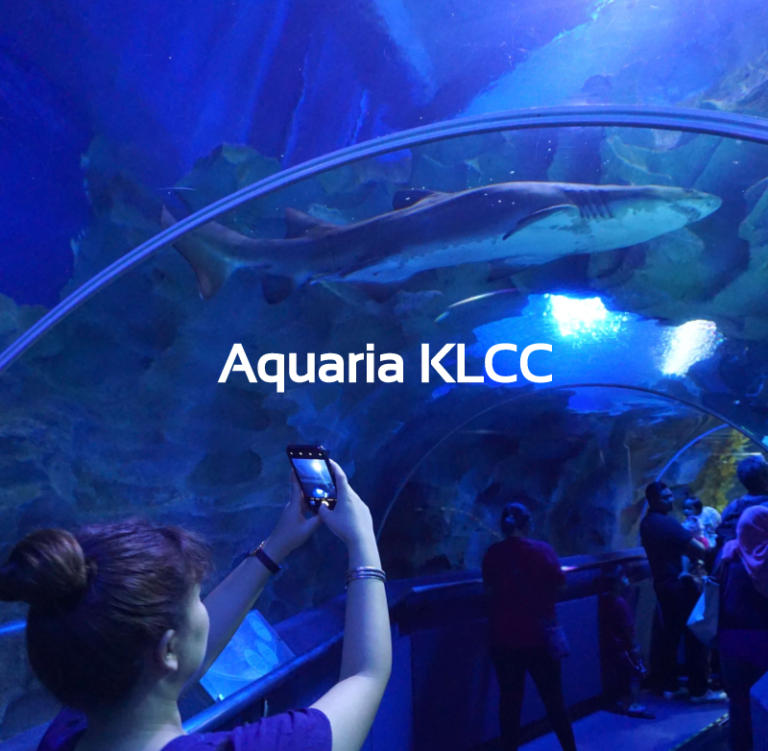 เที่ยว Aquaria KLCC ที่มาเลเซีย มาดู Baby Shark ใต้ท้องทะเลกันเถอะ (ดูดู้ดดู้ด)