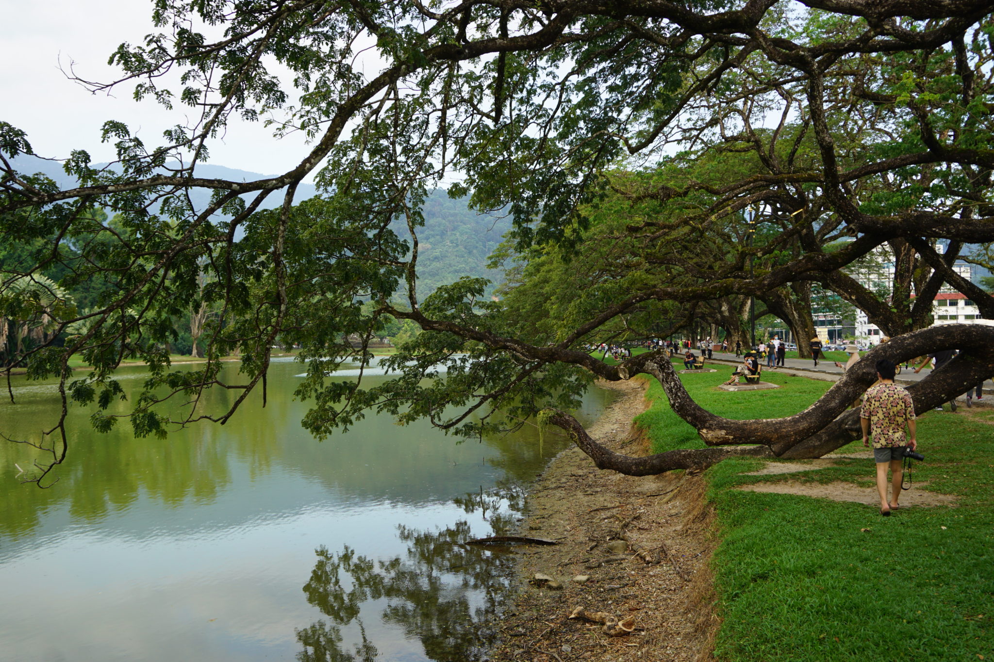 Taiping lake garden